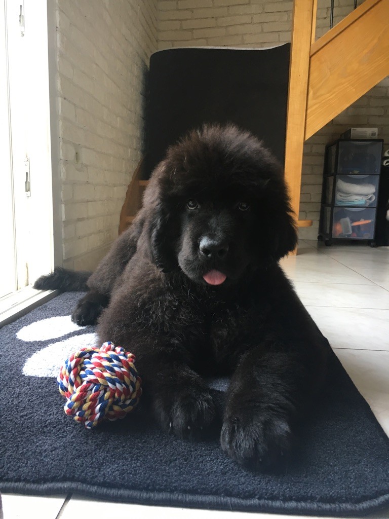 Rhéa, 3 mois