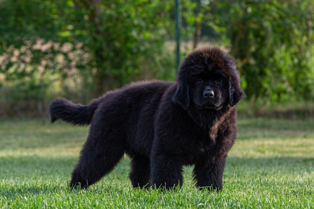 Texa, 3 mois