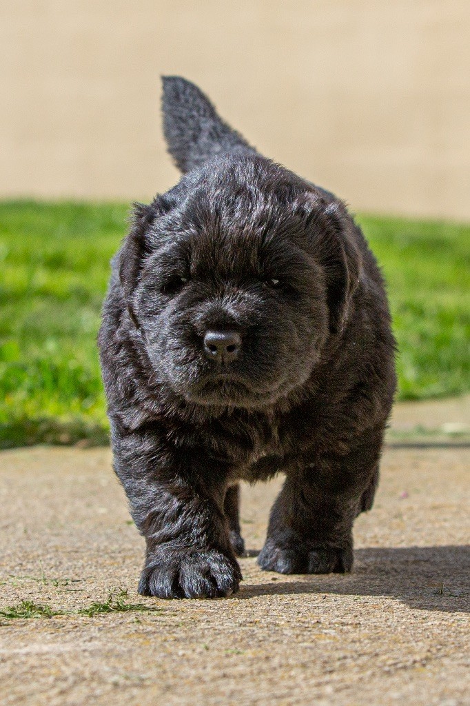 Texa, 1 mois