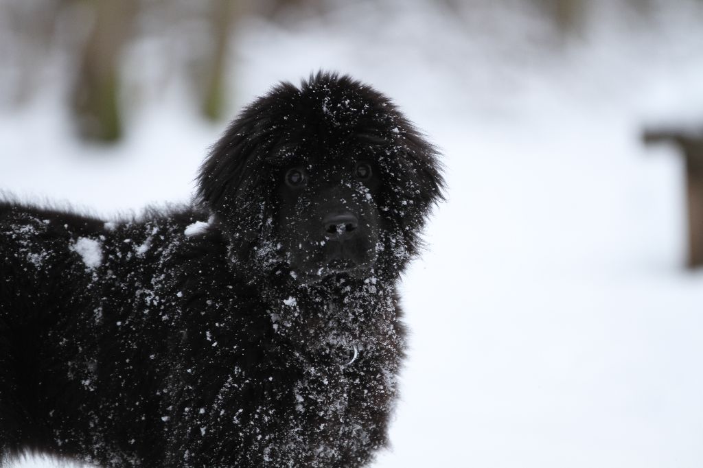 Havva, 5 mois, dans la neige