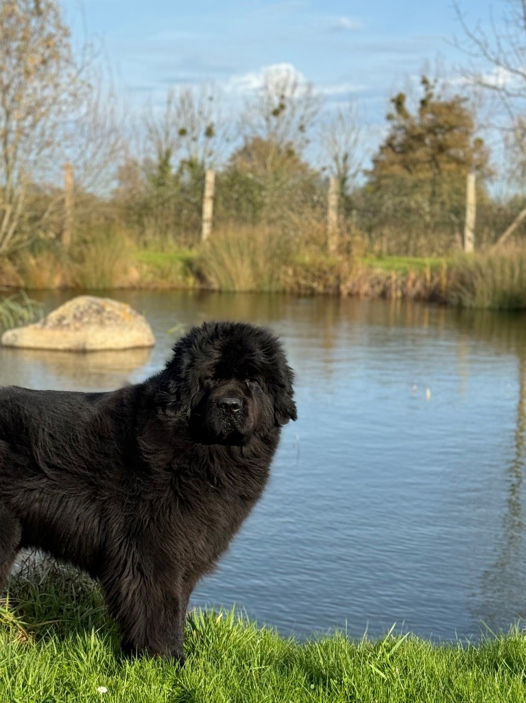 Texa, 2 ans, à l'eau